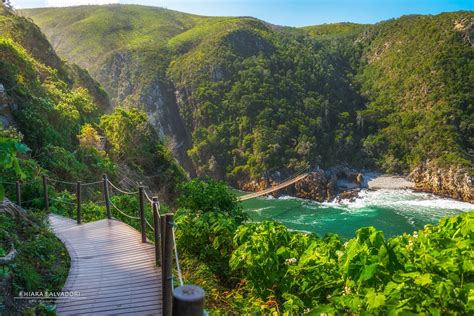 De Wonderlijke Wereld van de Tsitsikamma National Park: Een Ontsnapping in de Wilde Schoonheid van Zuid-Afrika!